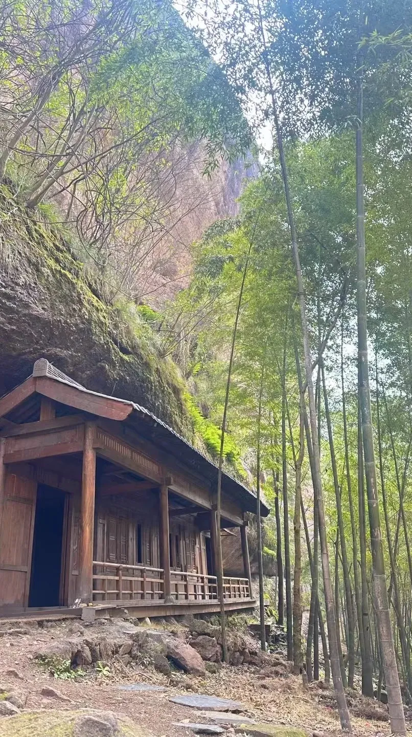 0156d49267bafb0ba5e8fb69635bbb6e-sz_733430