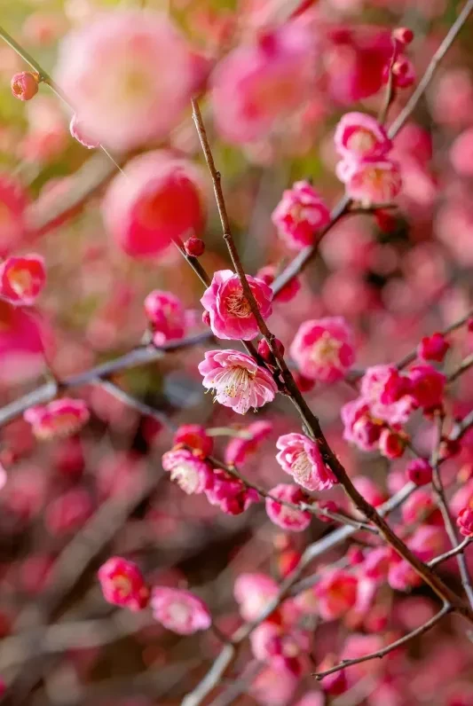 0176280133a79c8870b5667f947df116-sz_1154381