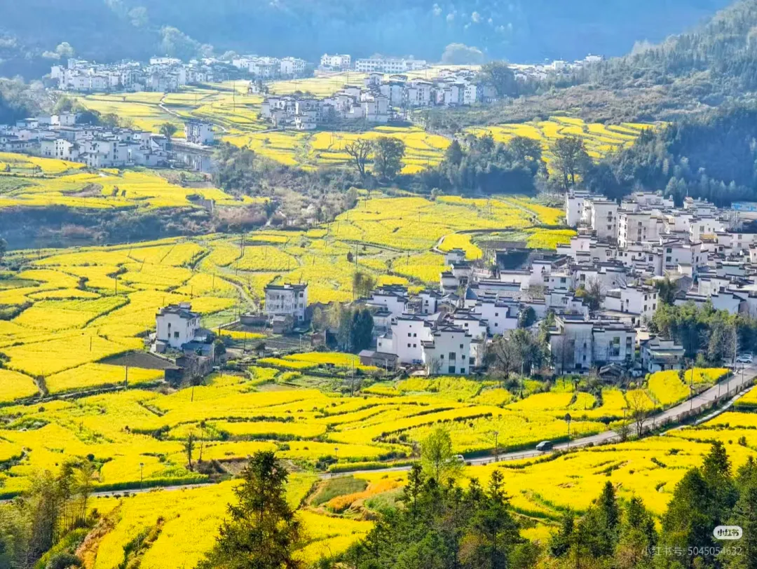 0179c5621045180a61d14587ee197819-sz_3172033