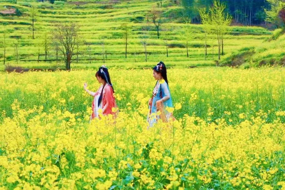 017cafec02ab0326c105dacf40f1ece6-sz_173545