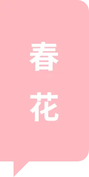 018d812a534f24ebcf1380eb629b3ecc-sz_2486