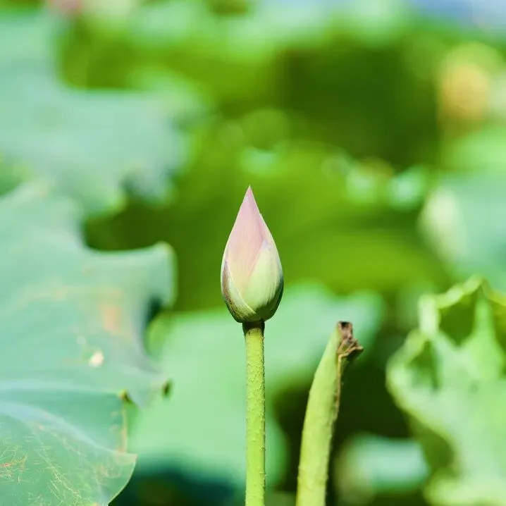 01eda8d44446305d210af236ef2aa36d-sz_69910