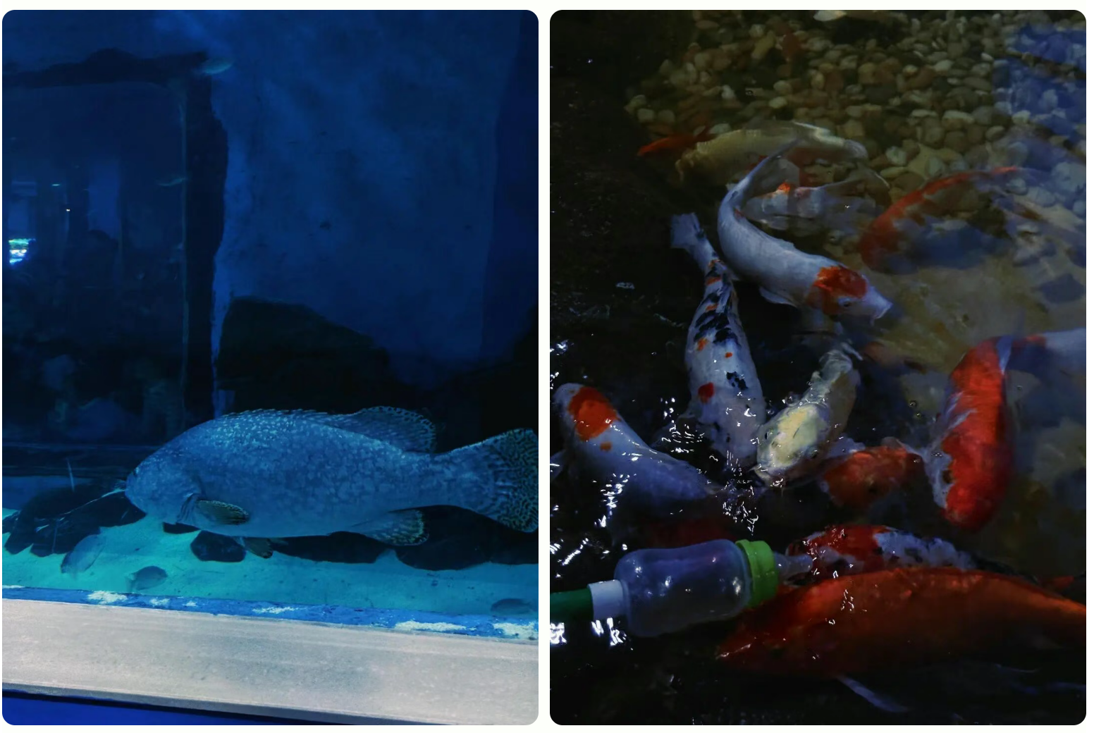 0233b026bfa041e93c80046885c39a1d