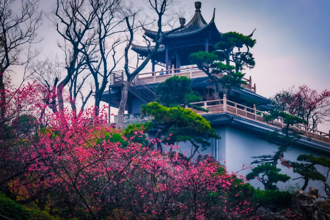 02927705e29339cdc4d0e21764807528-sz_879144