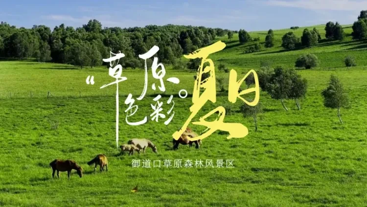 02ab7c21258b0c1bce9e211e58921b1b-sz_151253