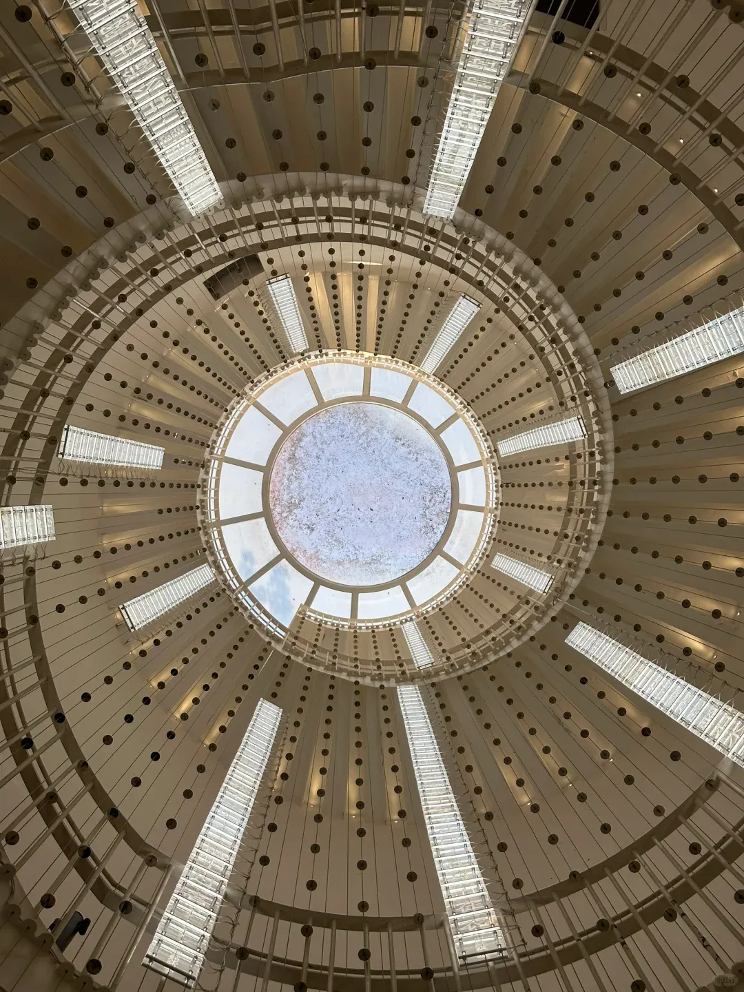 02d02ebabe9c61a4b740bf9b54987e27-sz_2520136