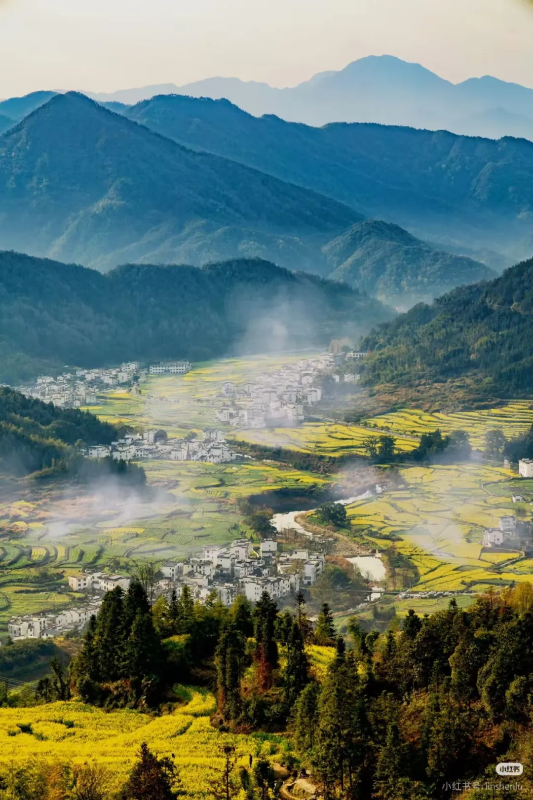 02d51ce86480f3a72669f574ba1ec305-sz_3588818