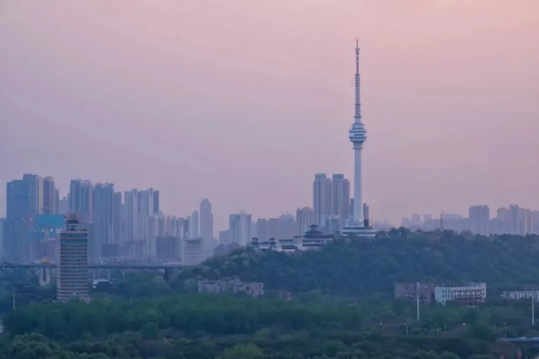 03221368058aee3a17b0a9788efe8486-sz_217181