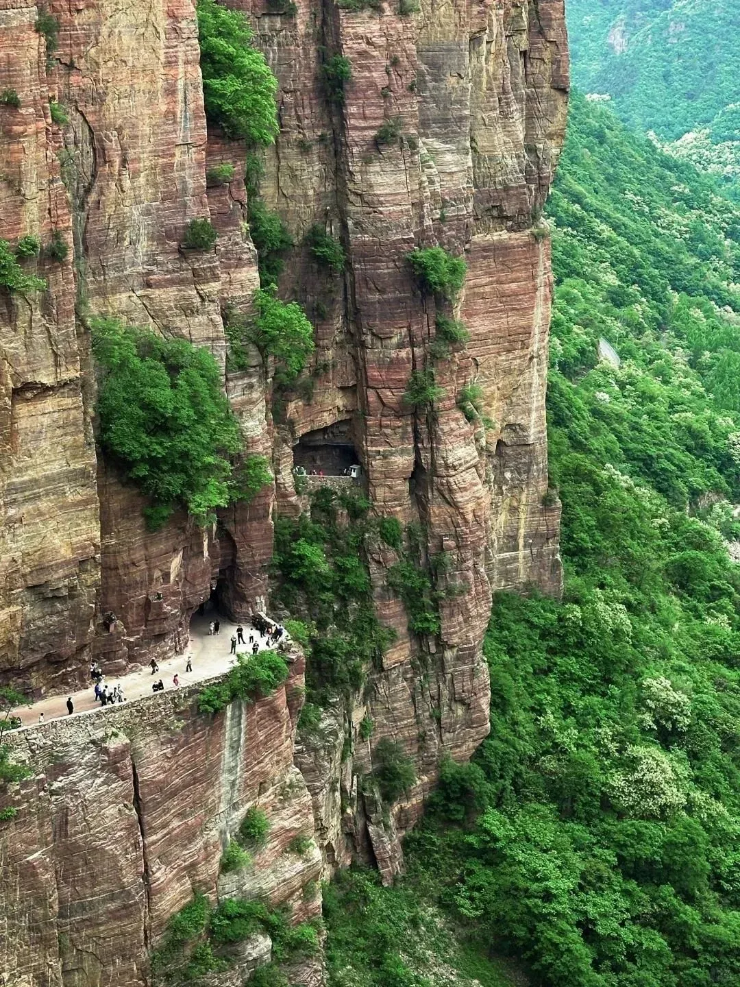 0341153f3830fc803e23360a8160ca77-sz_1404580-1