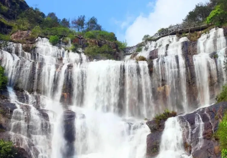 03582fc9a40797b7d0cdcef86d133a04-sz_132215