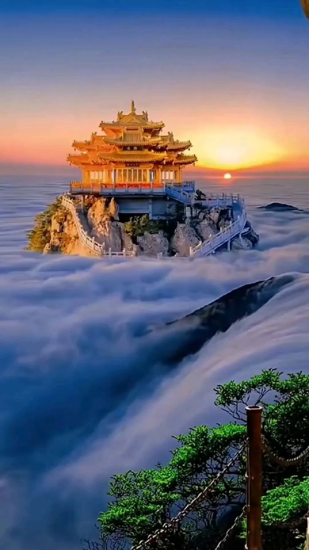 03b3a7c3fadb143203f0e3cbb6b847e9-sz_286707