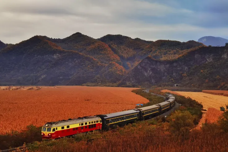 03f38a7610ad58532ffe353de50137e0-sz_216120