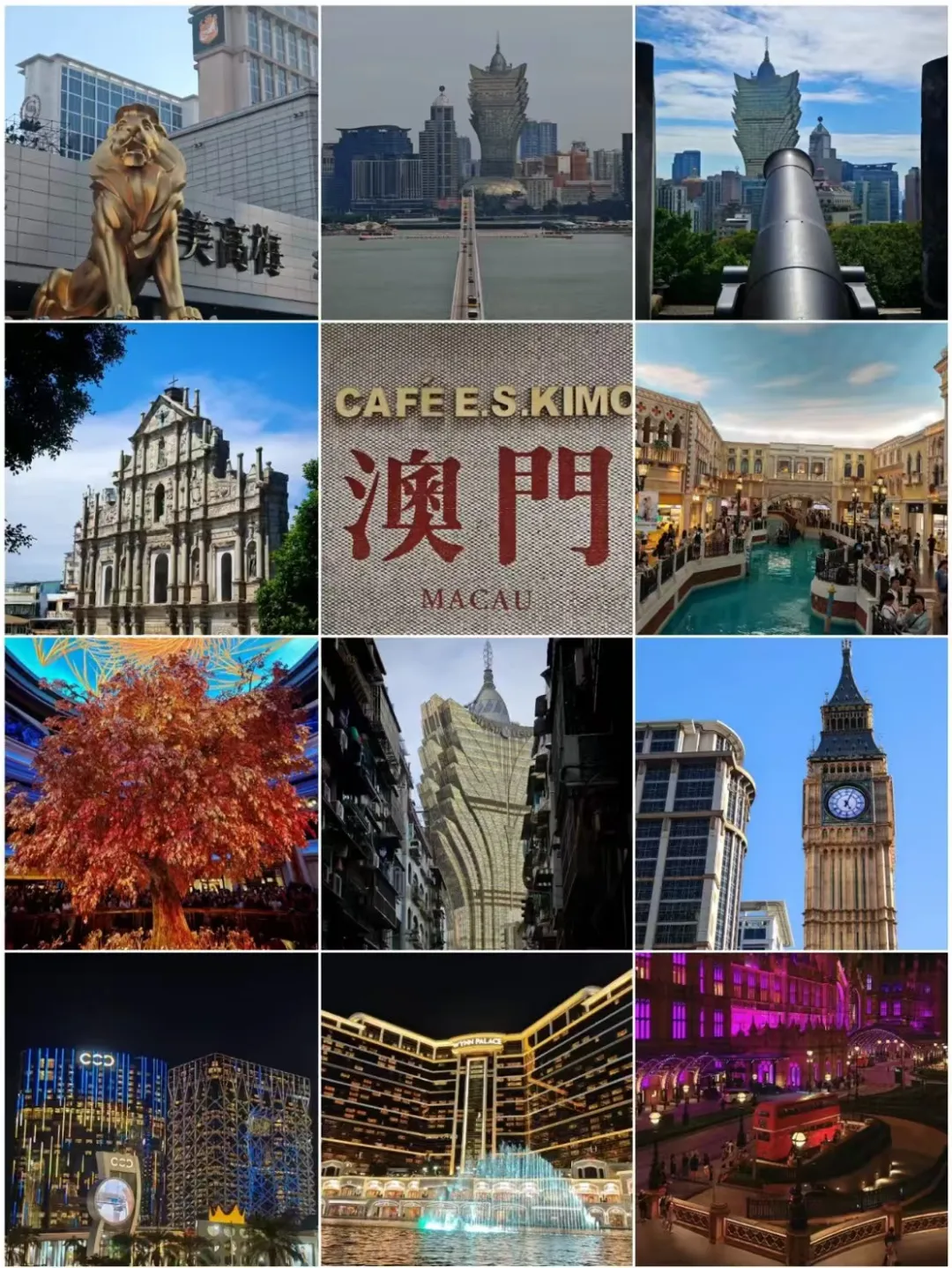 04154d5ed4e658f1cfdb2378d3e7edc2-sz_526295