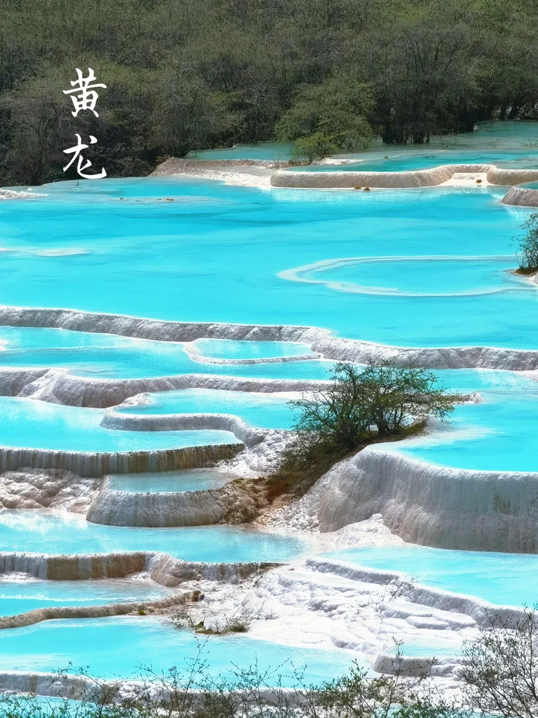 042d9948a52fcbc86565c1f5641bf0ae-sz_2632893