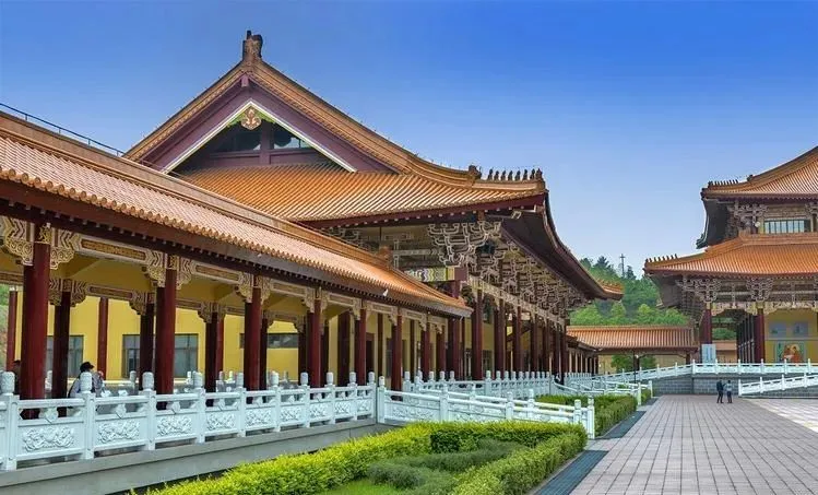 04b6783ed2787f7f56c3752b5771f76b-sz_81446-1