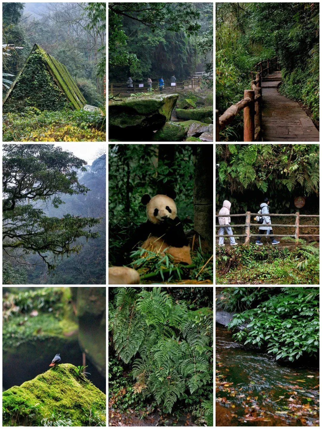 04bd2e111d3833c95c87e4fc96b4b2e4-sz_3420017 04bd2e111d3833c95c87e4fc96b4b2e4-sz_3420017