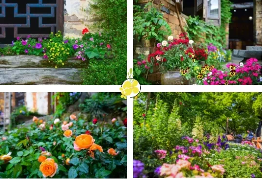 04d1e5f227992b7e4a0e641d2a32e9c0-sz_530842