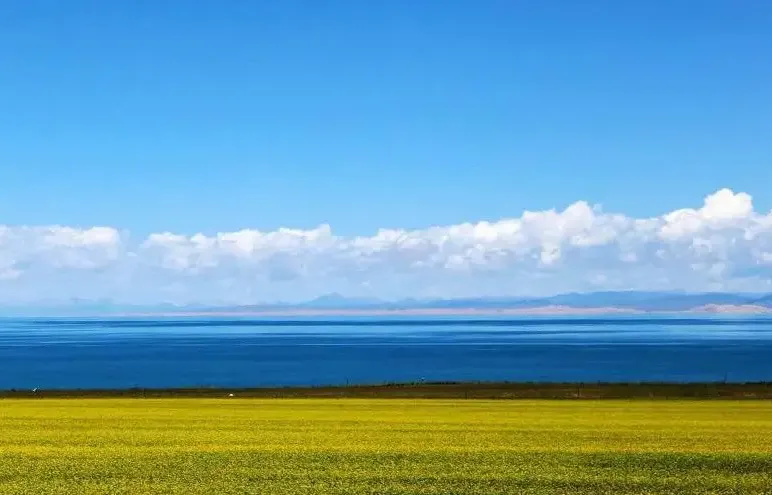 05055575ad40d8e8e9365dd859e2f21b-sz_492561