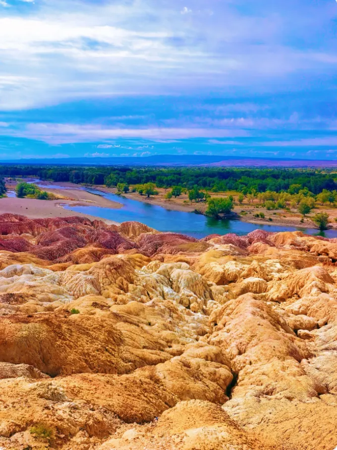 06157c6168b8556bd43076fd506ebab3-sz_1261078