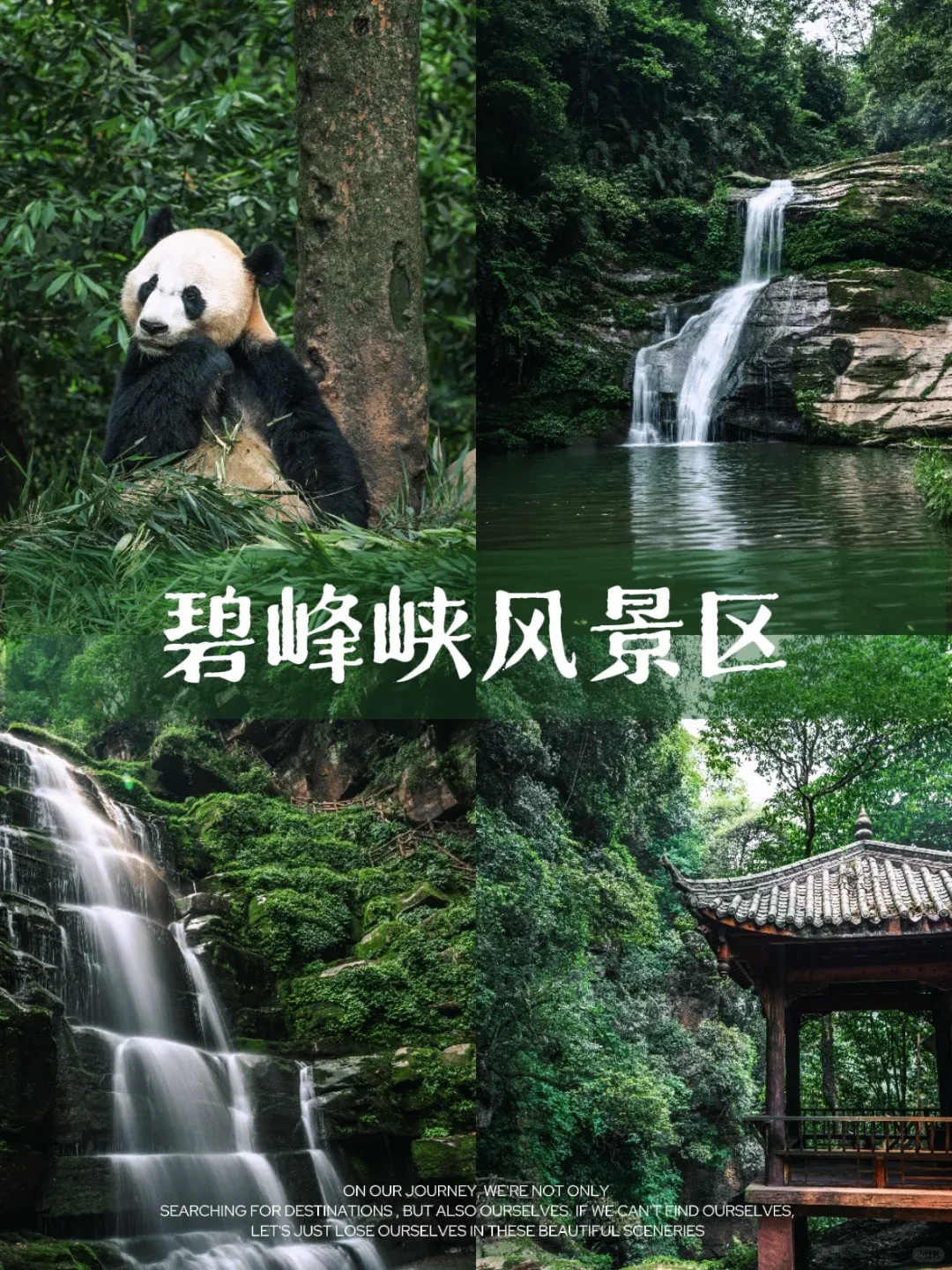 0620a1d2990ec89b88e0420ae59b9e9d-sz_3117309 0620a1d2990ec89b88e0420ae59b9e9d-sz_3117309