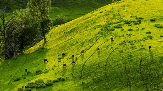 0629497e18297a23ceeb9f9edeec23db-sz_119689