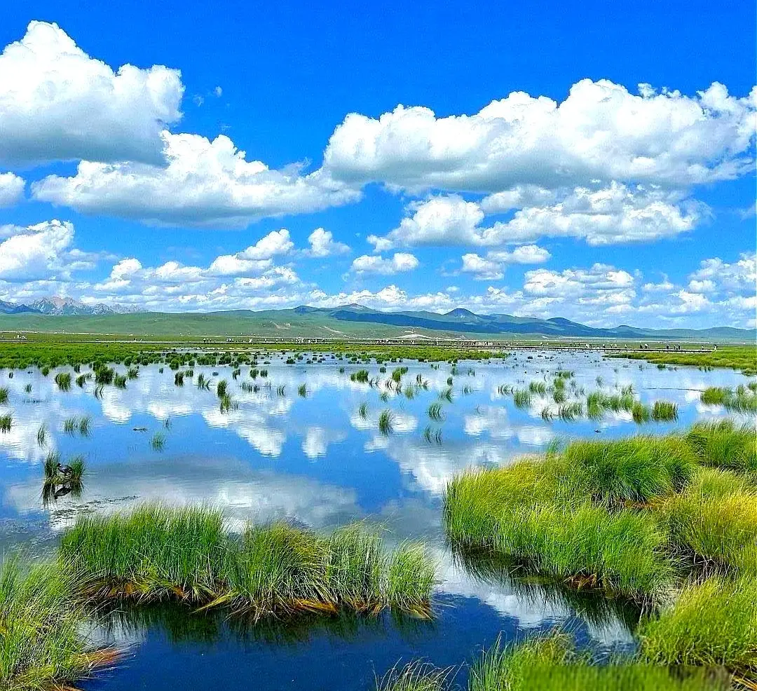 0639364749643ae47954510bb7380db1-sz_298041