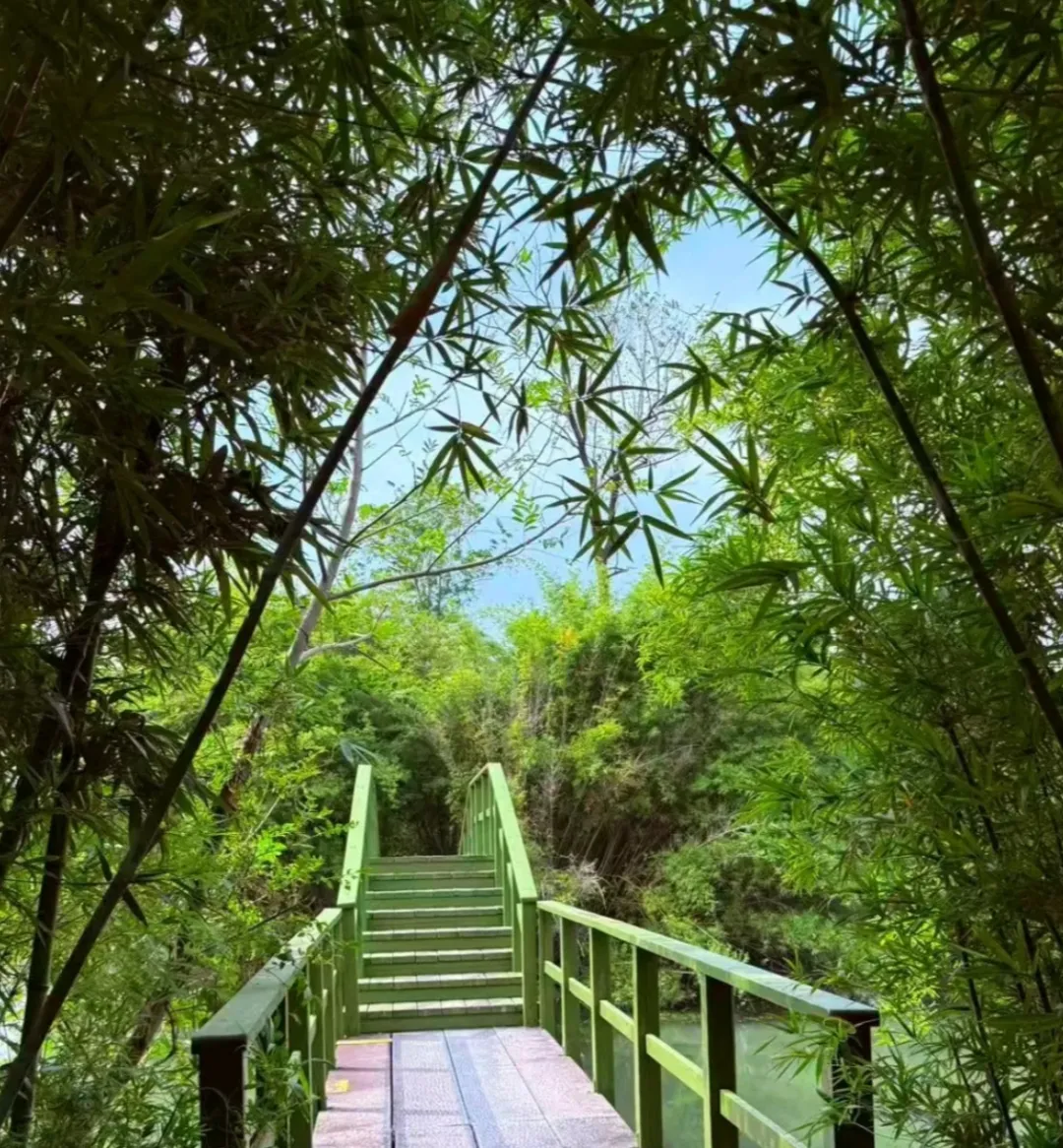 0672f37463f7e559c9c710e777354beb-sz_1090883