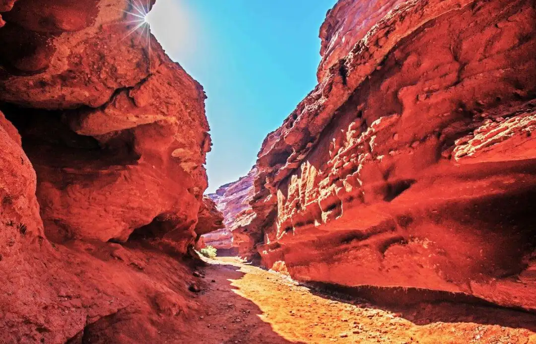 073a48efd3c42b646d46acd62d813e55-sz_177381