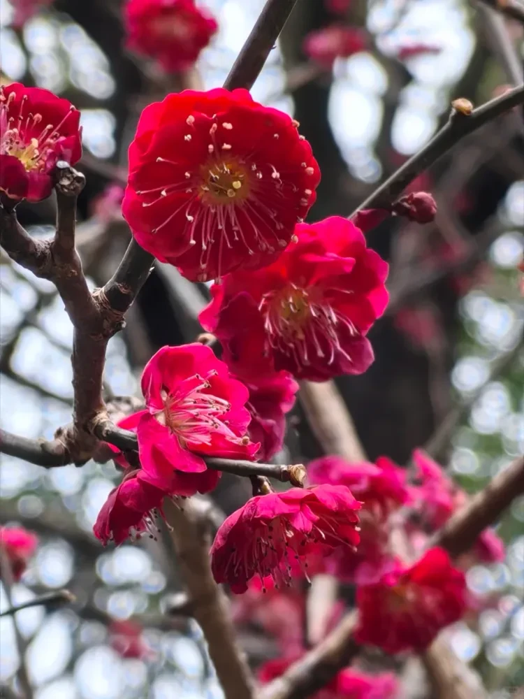 074a2d3a6e3bd058383bf91a8867c8f5-sz_2902389