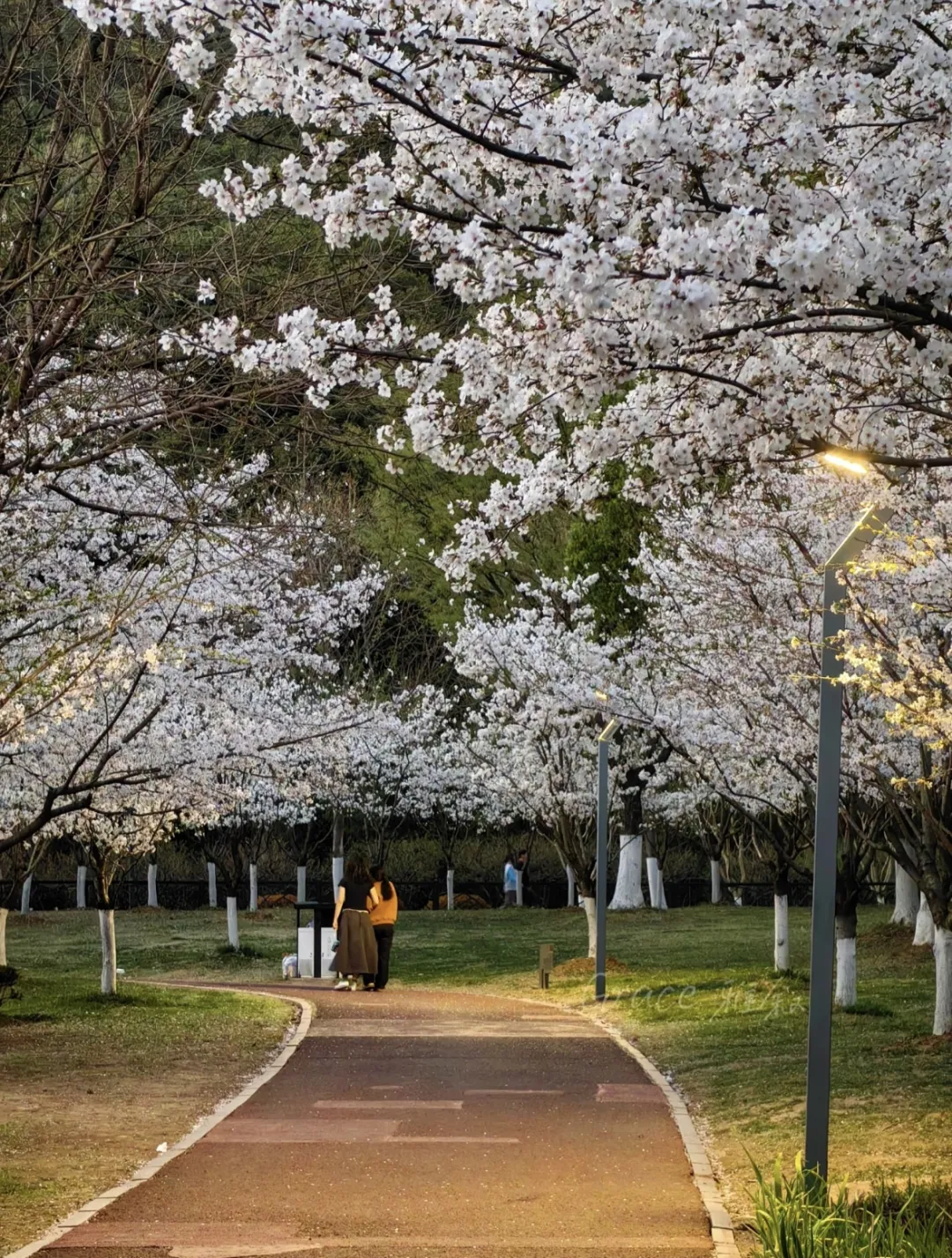 074b039df99ec4a6babfa31e187efbac-sz_1107013