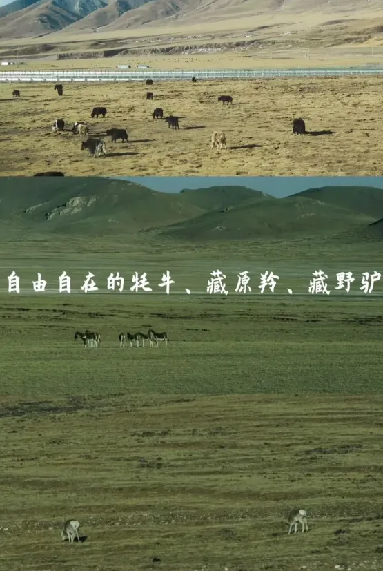 0794ec68bd86c92a3f905d5d75e0d08b-sz_984234