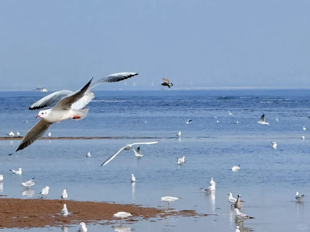 07c5bc07eb5857b9ab72e84a017ea12d-sz_1653154