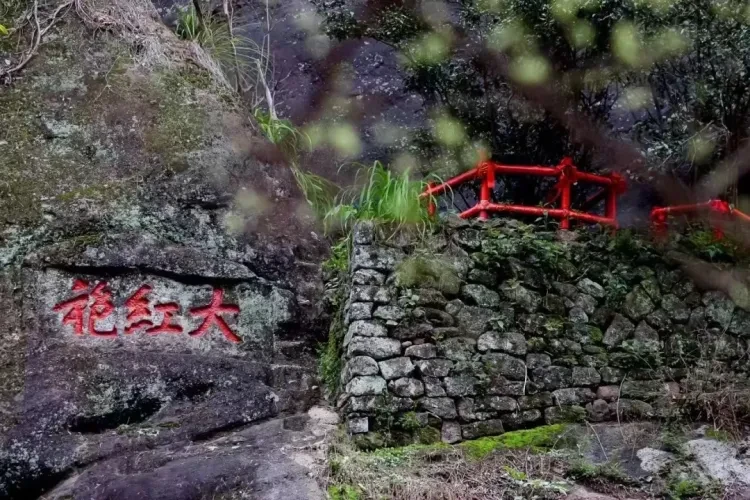 07f6e0a58c1f8e83b6393e2b0bf6c353-sz_1619014