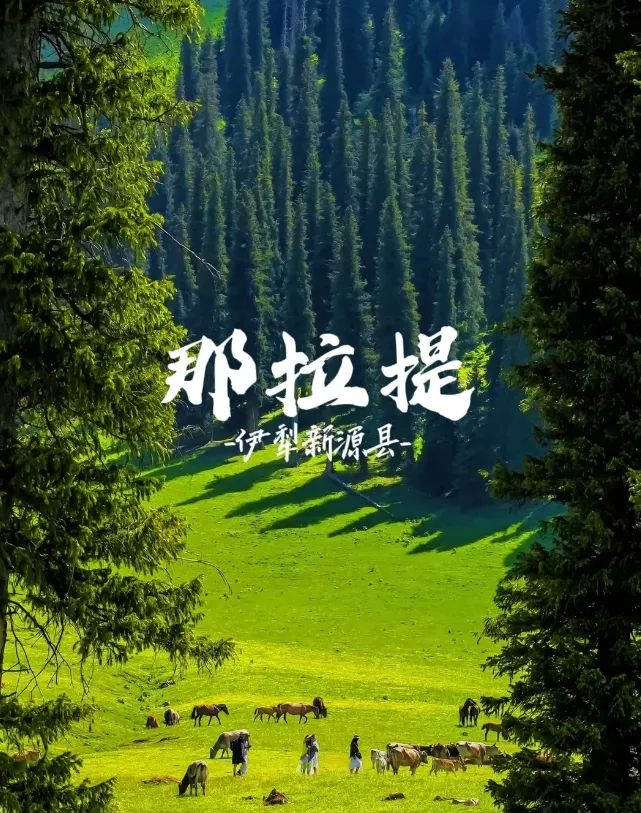 08246b497c1ccc4443efaa382f701363-sz_1372943