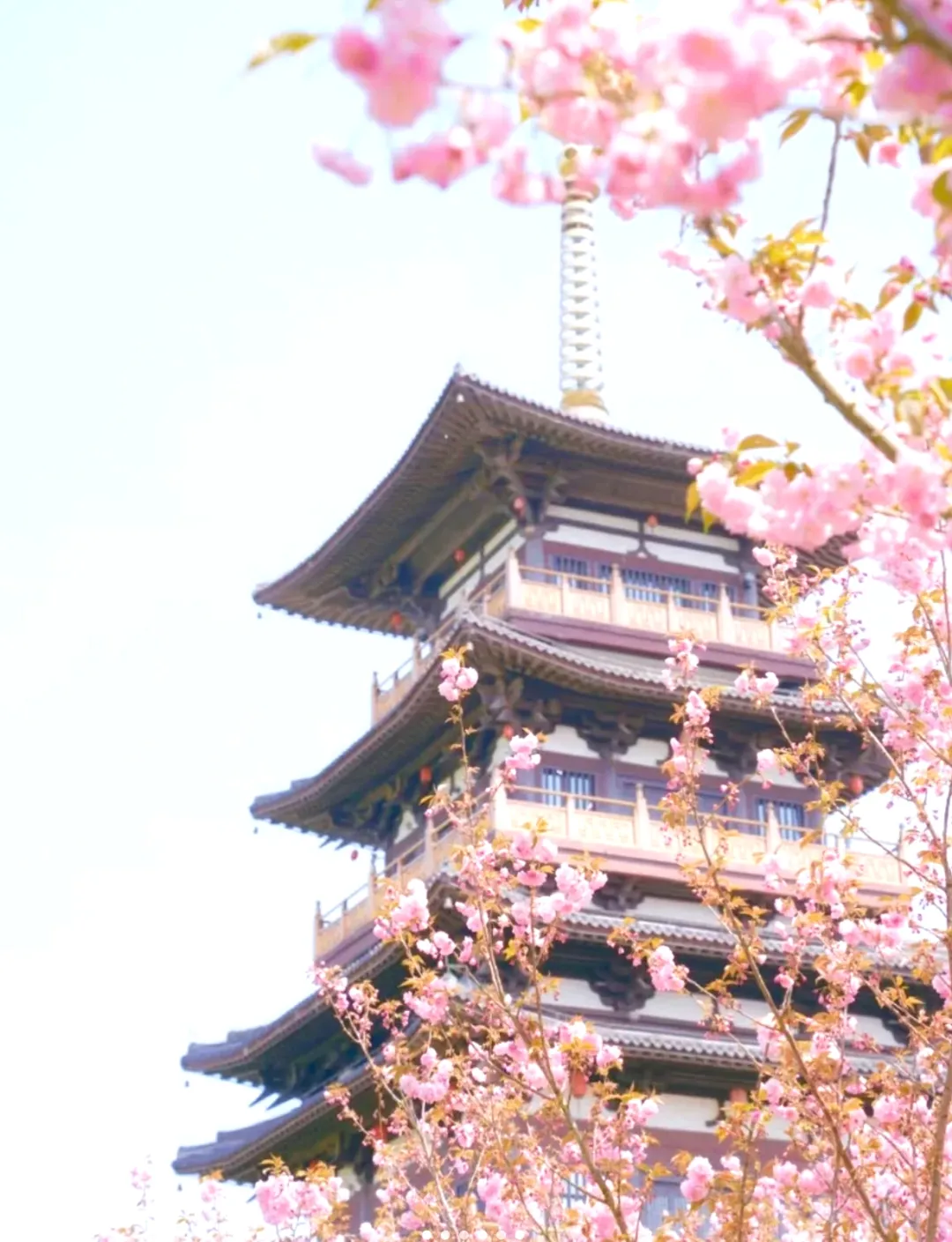 084b5749c235a02e88298c6fb7d648eb-sz_886918