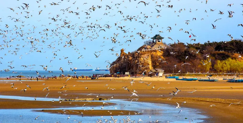 0876eefeeb22f701c5b50629dc1618de-sz_114492