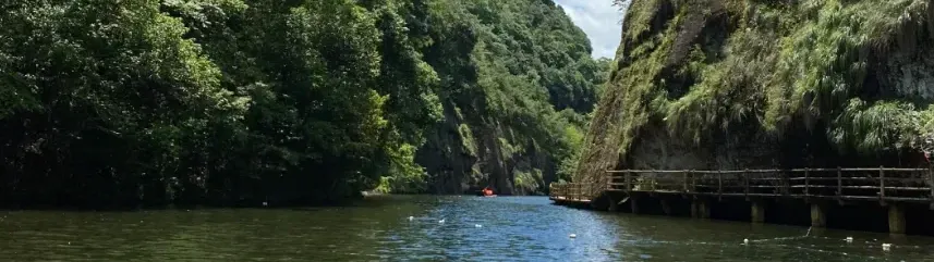 08c03bbafcc7002e06f4e790f98ce3b0-sz_867679