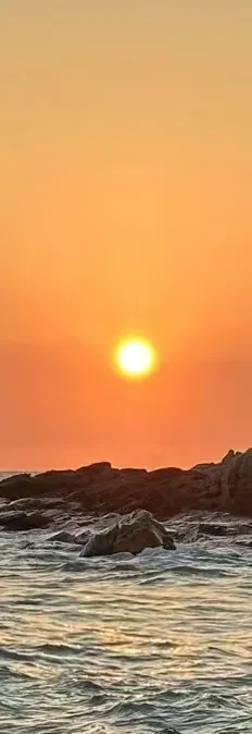 08d1976bd8999063c9cca5714a53d9b6-sz_2099808