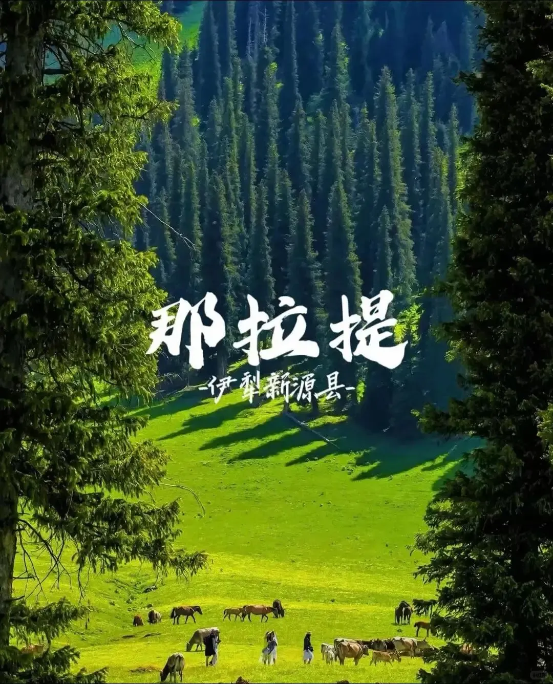 08fd5762d2d47d0ea5ed6633354281e1-sz_3102601