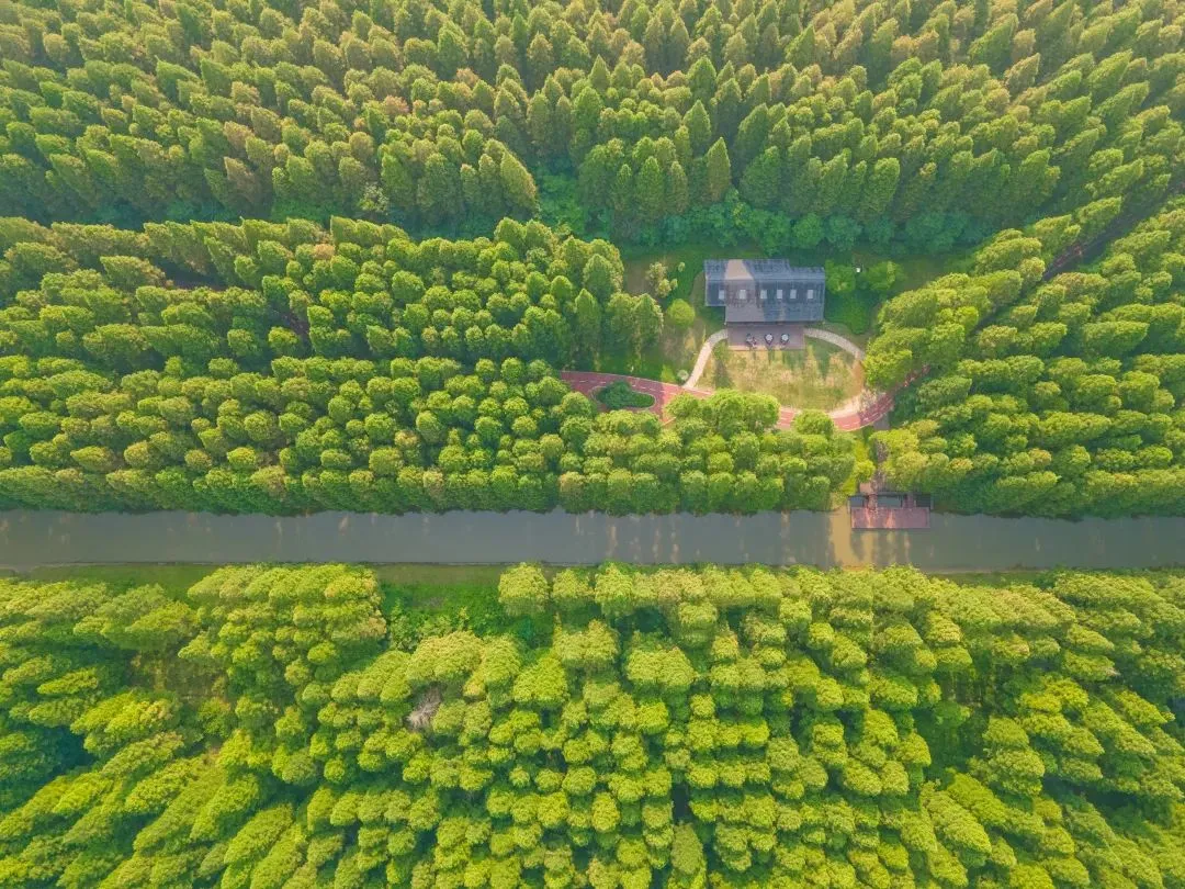 0900e88ebbb78babd1535d6493c5a51d-sz_246667