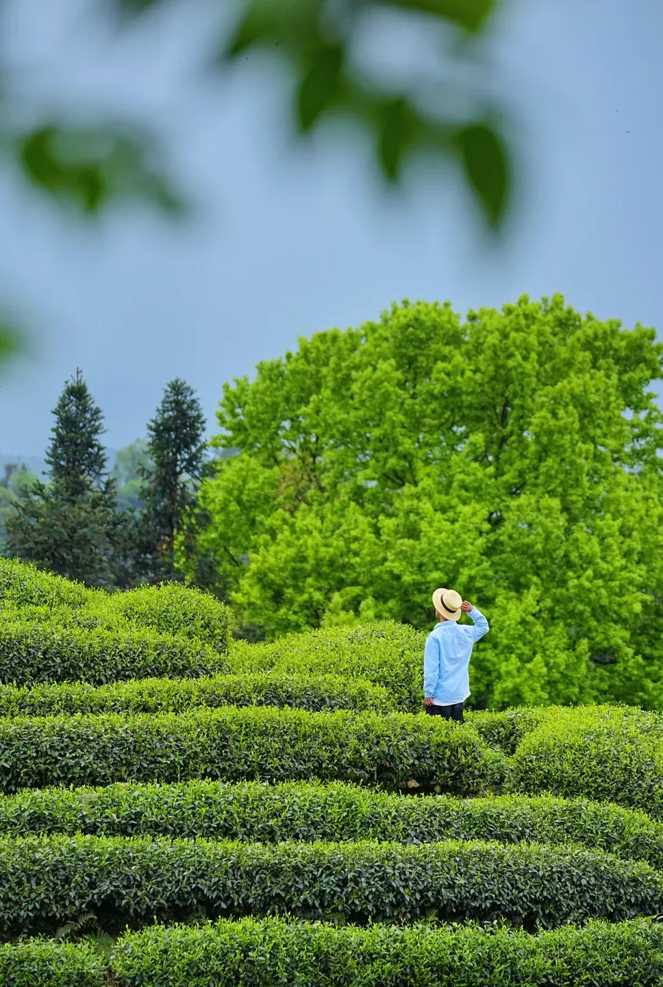 097981855c028be069c25d62e3255d86-sz_2638483 097981855c028be069c25d62e3255d86-sz_2638483