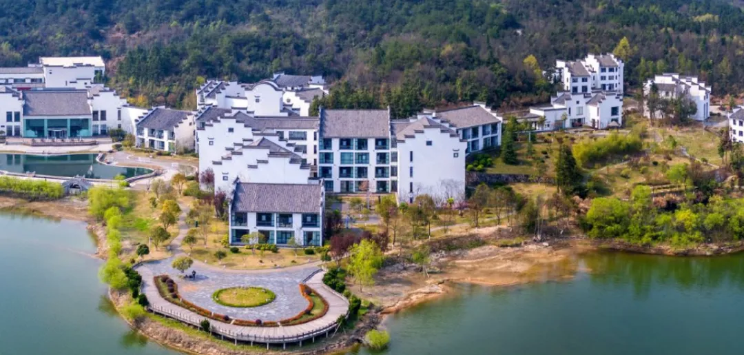 097a1e5fdead473f43708a2cf5d86164-sz_1013100