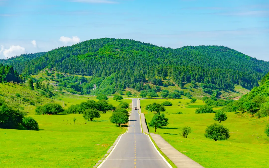 09895df472278d3807446263400b9e10-sz_2618246