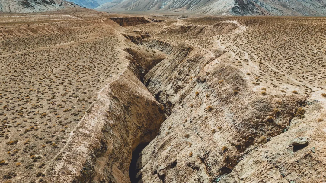 0993390f7d7424a83283d1c3c663d98e-sz_5771394-2