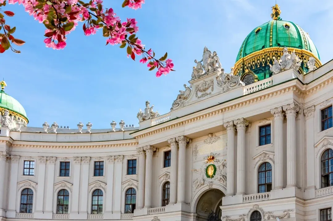 09d02585b490d45498346c371ac62f94-sz_454233