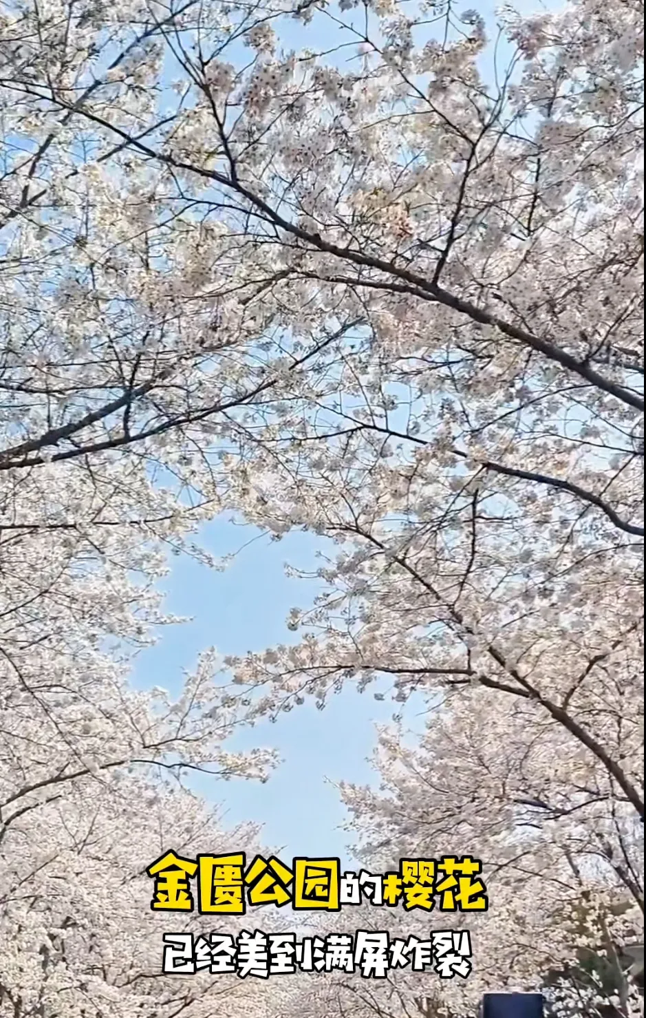 0a023a855c229fca89661fd11aa08071-sz_1159242-1