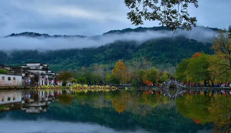 0a47e0b2cc2469d809503e750019f581-sz_955266