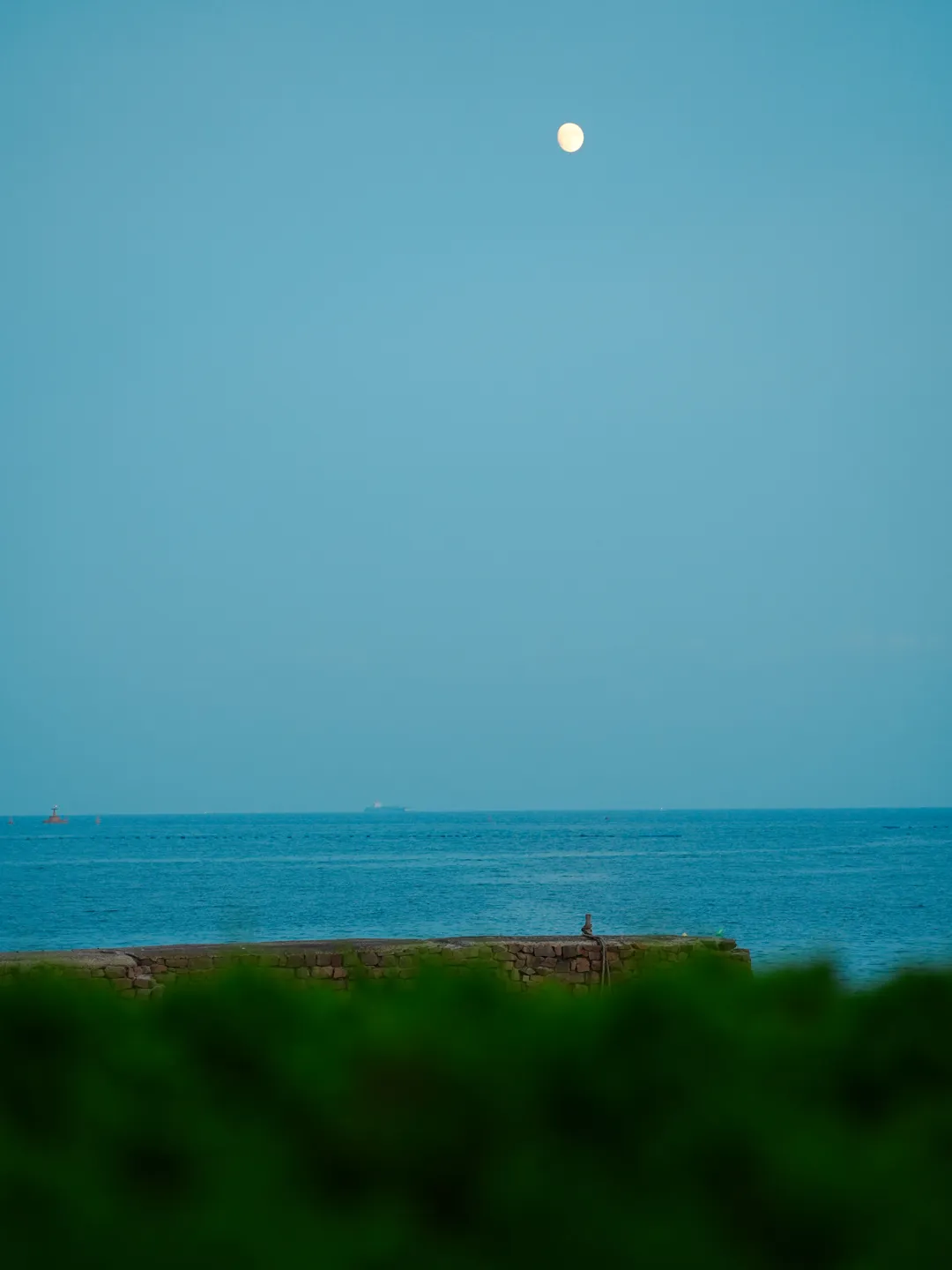 0a5465d8881c6f73d45ead413c59bbec-sz_1197784