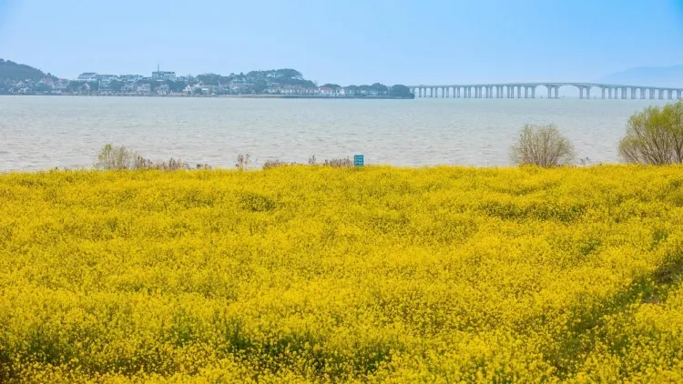 0b359cd21cf0859c248b11a0c0d3c008-sz_1069841