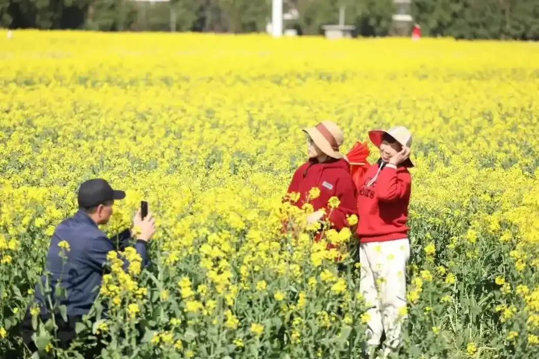 0b6ee8019486d2d2e747e8612ccd517c-sz_1872106